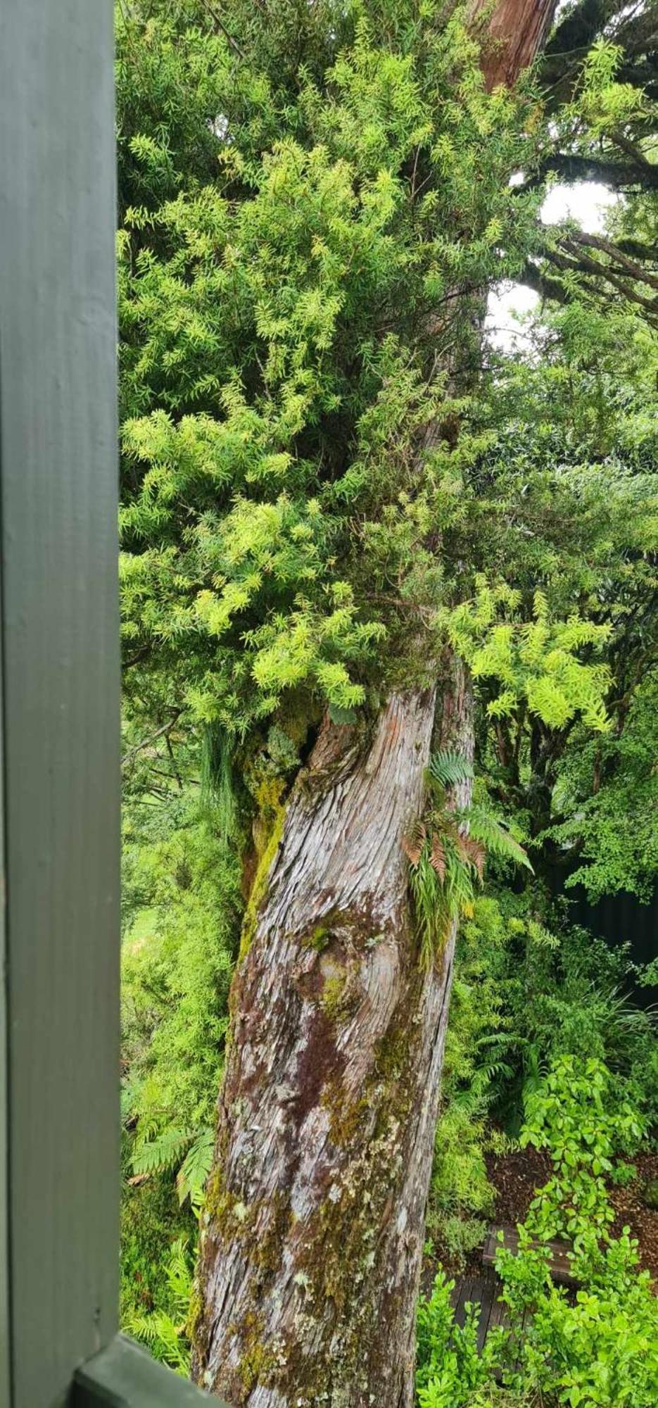 高山度假屋 国家公园 外观 照片